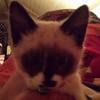 dustin_bain